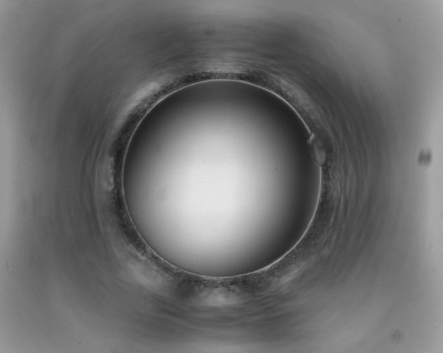X0000091920731200709051440