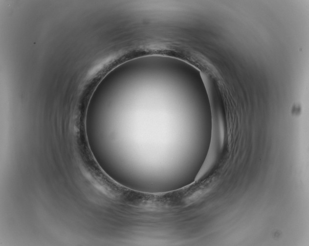 X0000091920732200709051440
