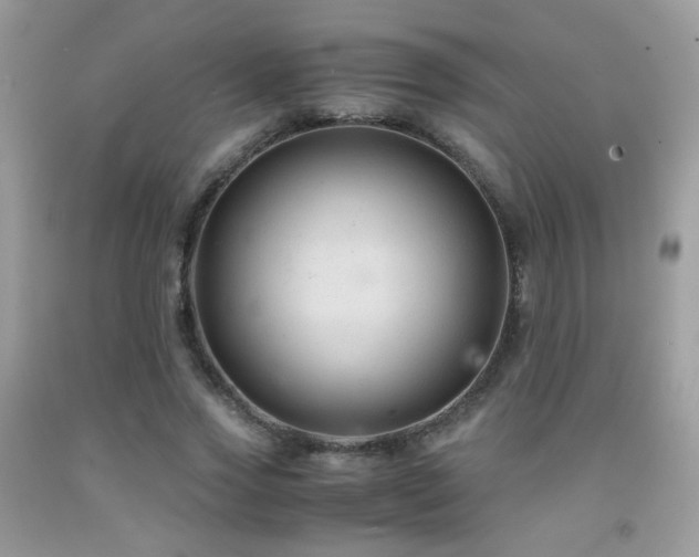 X0000091920733200709051440