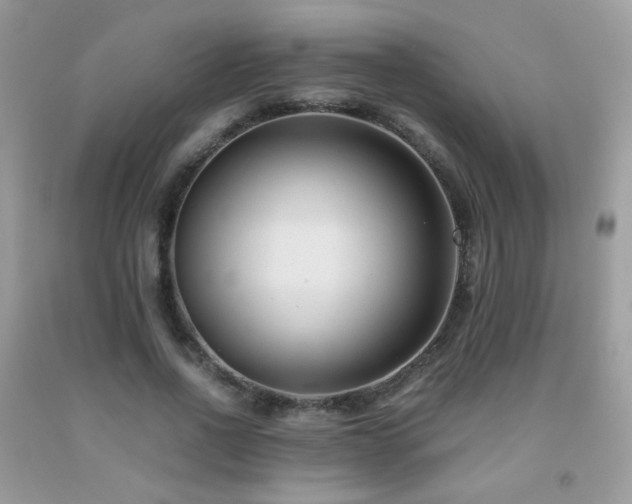 X0000091920734200709051440