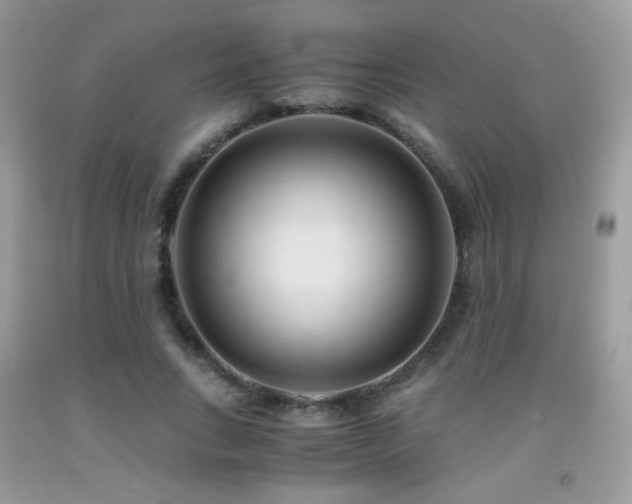 X0000091920735200709051440