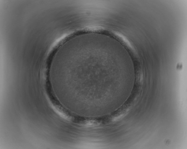 X0000091920736200709051440