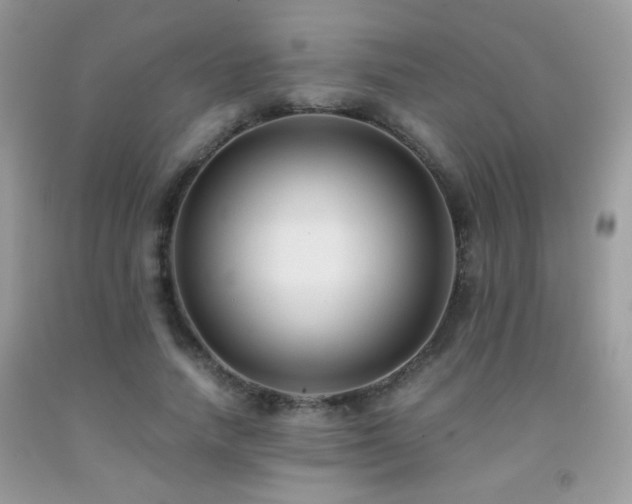 X0000091920738200709051440