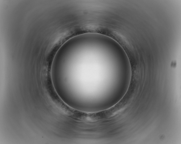 X0000091920739200709051440