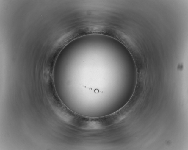 X0000091920741200709051440
