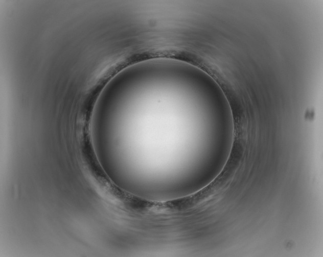 X0000091920742200709051440