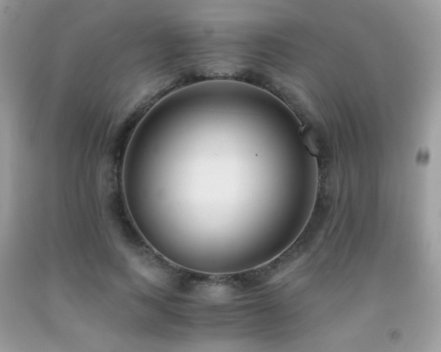 X0000091920743200709051440