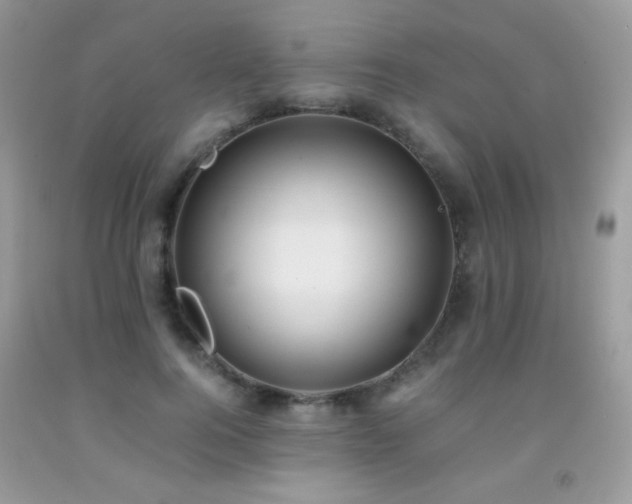 X0000091920744200709051440