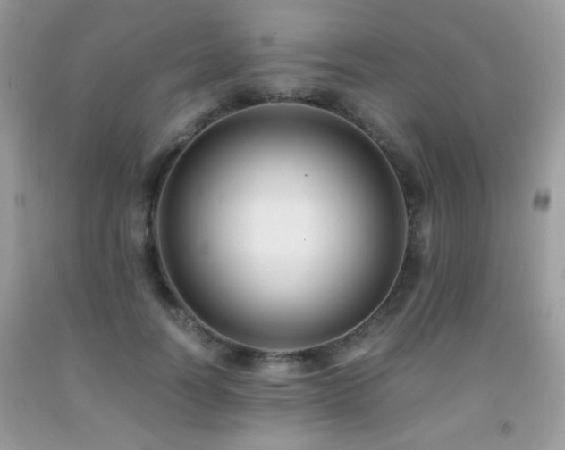 X0000091920746200709051440