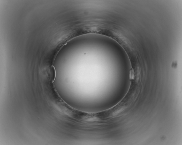 X0000091920747200709051440