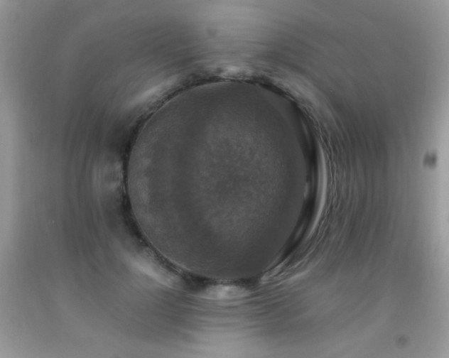 X0000091920748200709051440