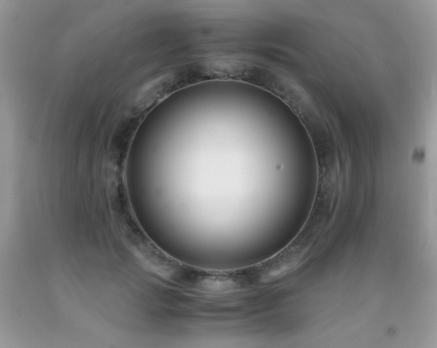 X0000091920749200709051440