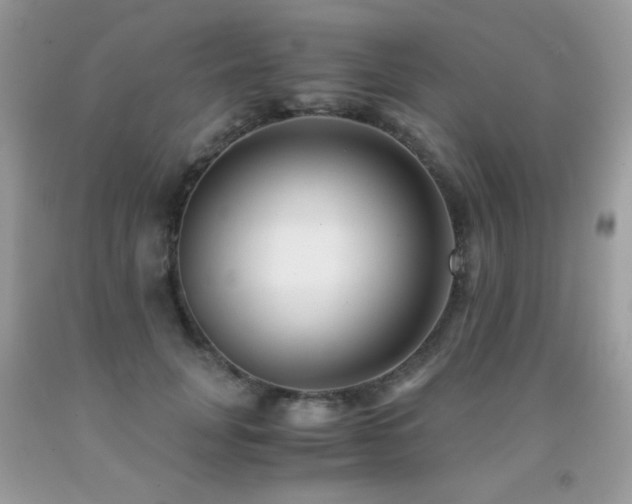 X0000091920751200709051440