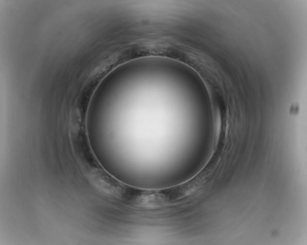 X0000091920752200709051440