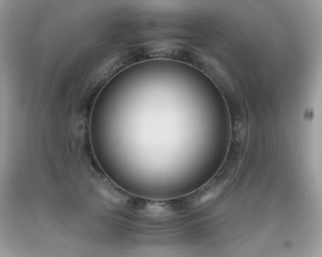 X0000091920753200709051440