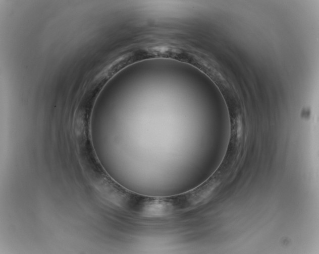X0000091920754200709051440
