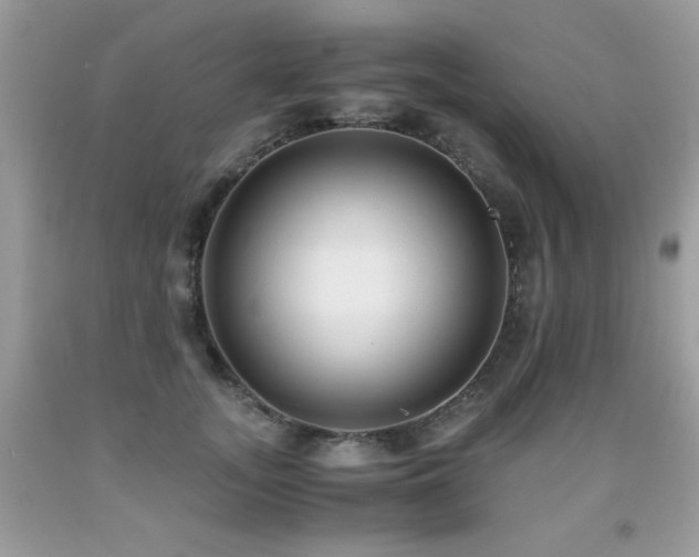 X0000091920755200709051440