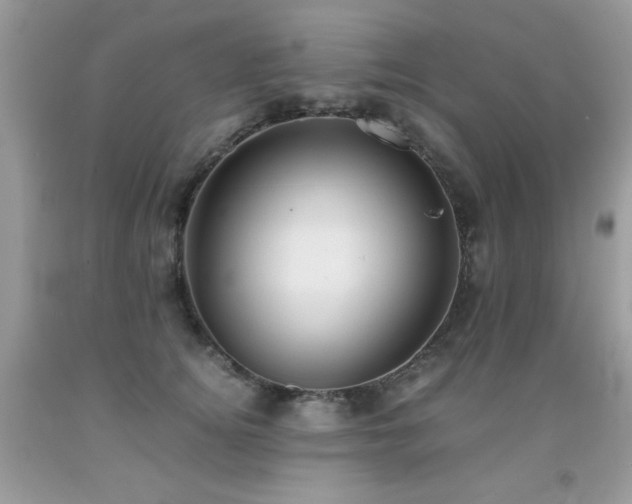 X0000091920756200709051440