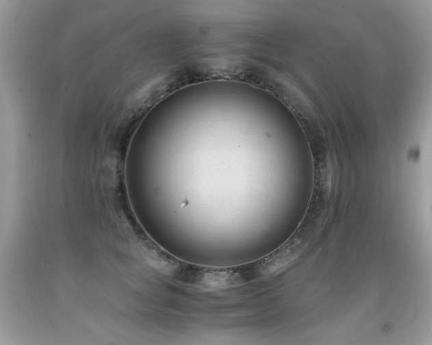 X0000091920757200709051440