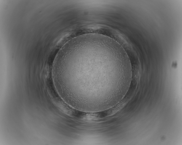 X0000091920758200709051440