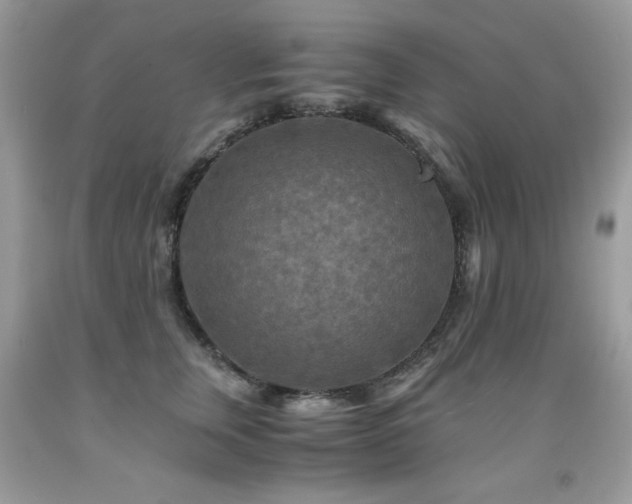X0000091920759200709051440