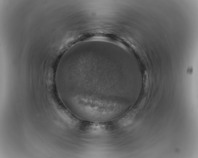 X0000091920760200709051440