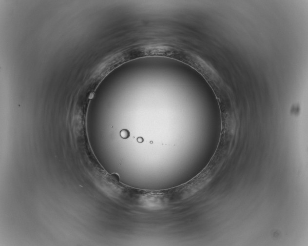 X0000091920761200709051440