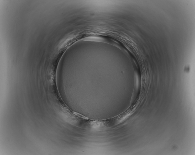X0000091920762200709051440
