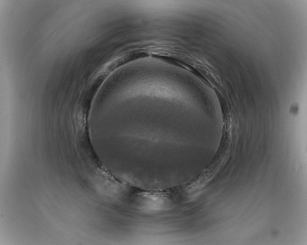 X0000091920763200709051440