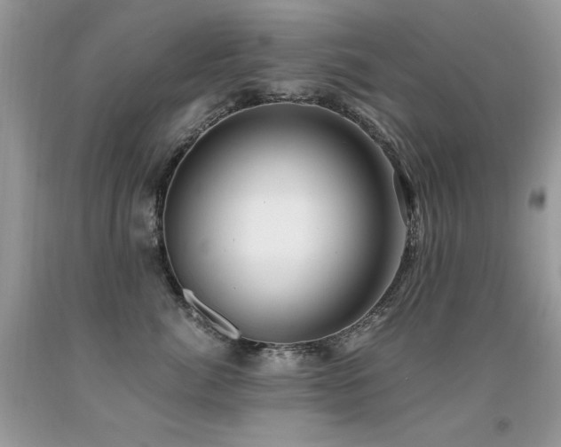 X0000091920764200709051440