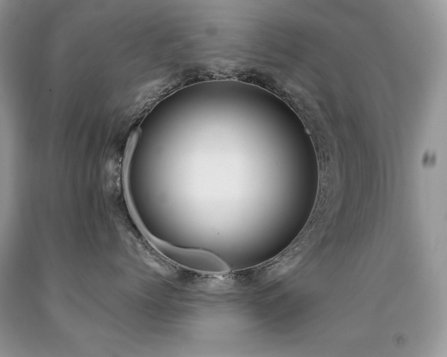 X0000091920768200709051440