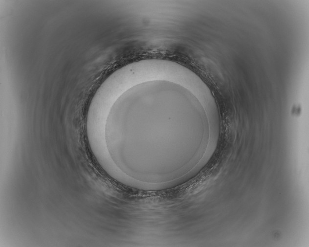 X0000091920769200709051439