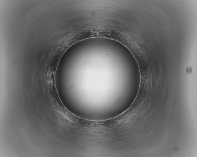 X0000091920770200709051439