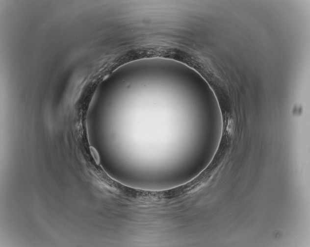 X0000091920771200709051439