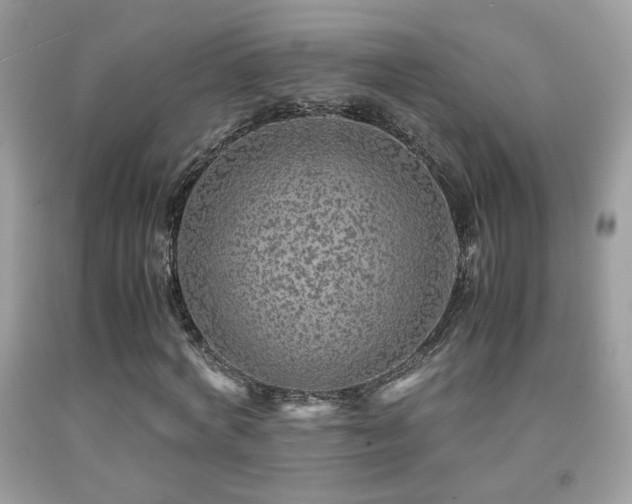 X0000091920772200709051439