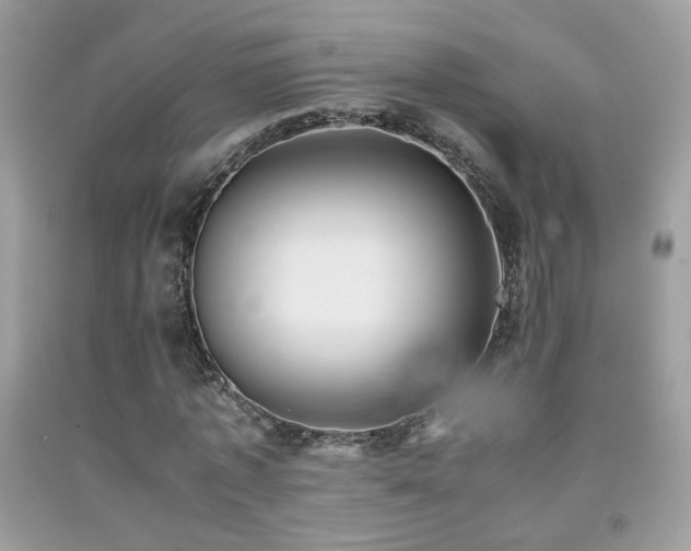 X0000091920773200709051439