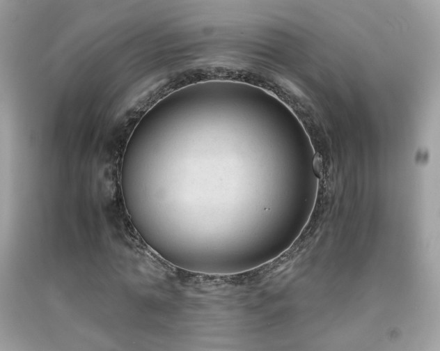 X0000091920774200709051439
