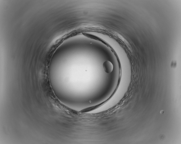 X0000091920775200709051439