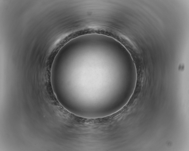 X0000091920776200709051439