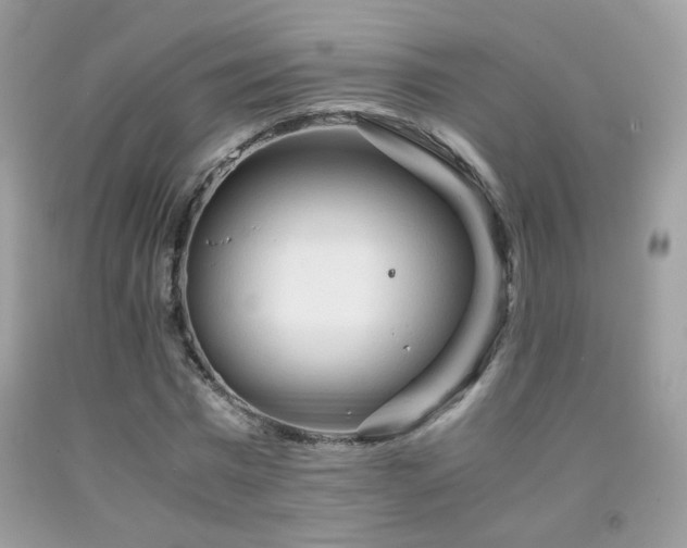 X0000091920777200709051439
