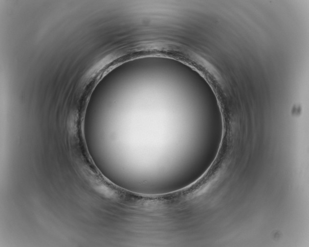 X0000091920778200709051439