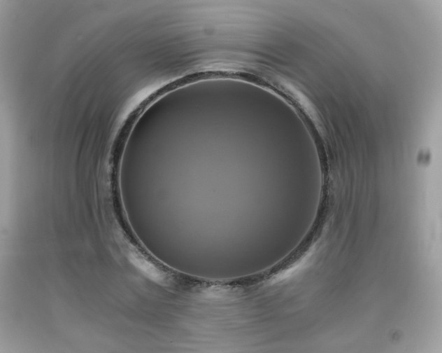 X0000091920779200709051439