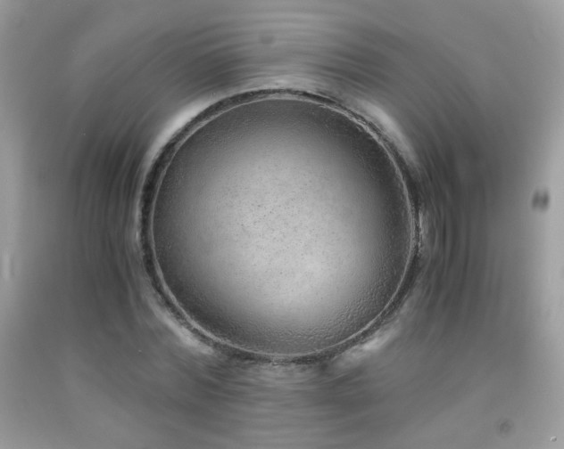 X0000091920780200709051439