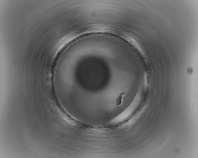 X0000091920781200709051439