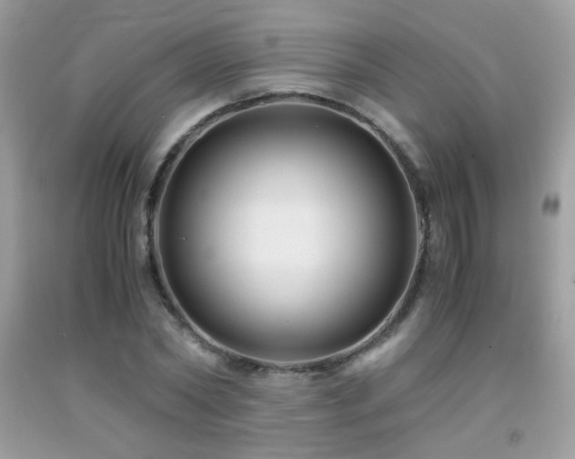 X0000091920782200709051439