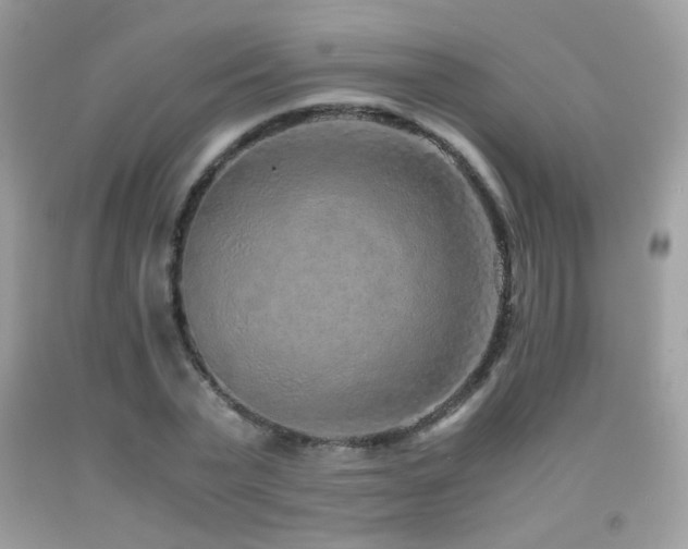 X0000091920783200709051439
