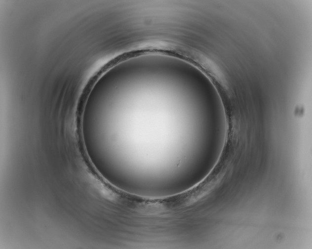 X0000091920784200709051439