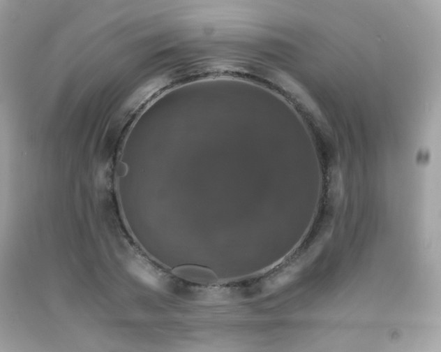X0000091920785200709051439