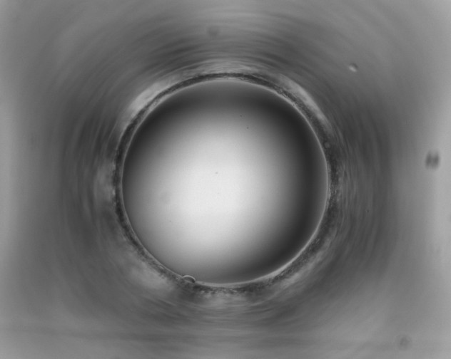 X0000091920786200709051439