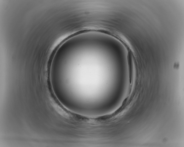 X0000091920787200709051439
